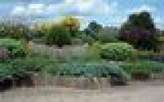 Gleba a rośliny w ogrodzie