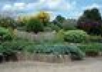 Gleba a rośliny w ogrodzie