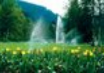 System automatycznego nawadniania