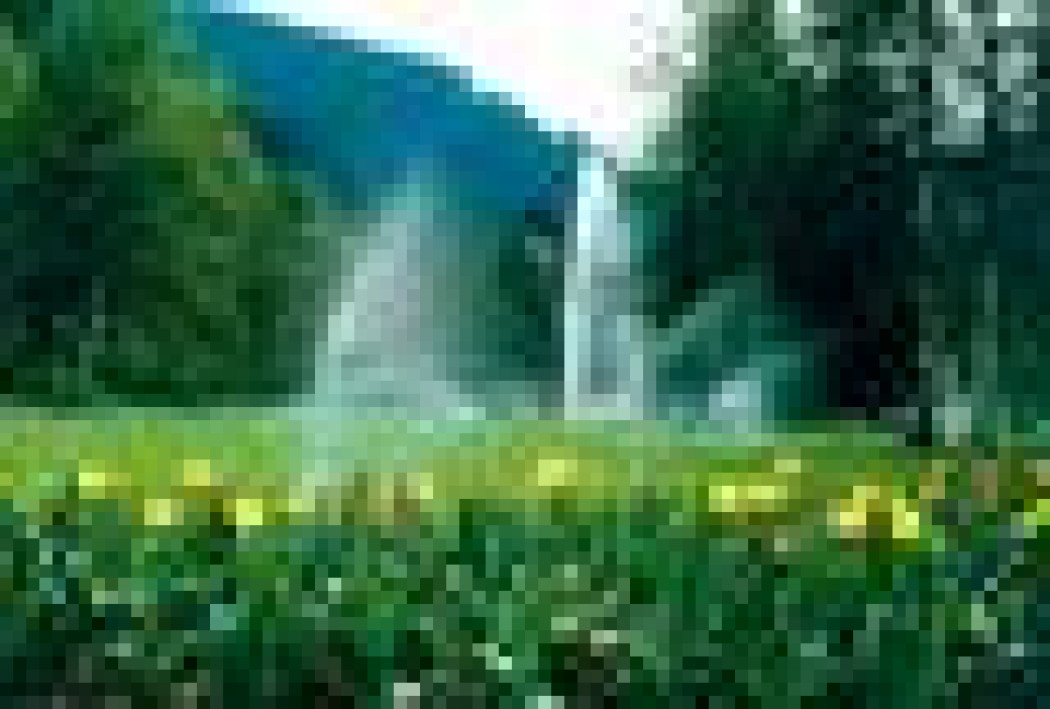 System automatycznego nawadniania