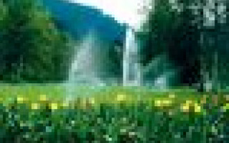 System automatycznego nawadniania