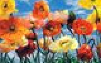 Malowanie ścian, okładziny ścienne