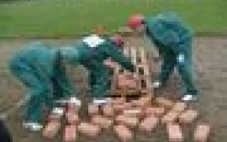 Topex wspiera szkoły budowlane