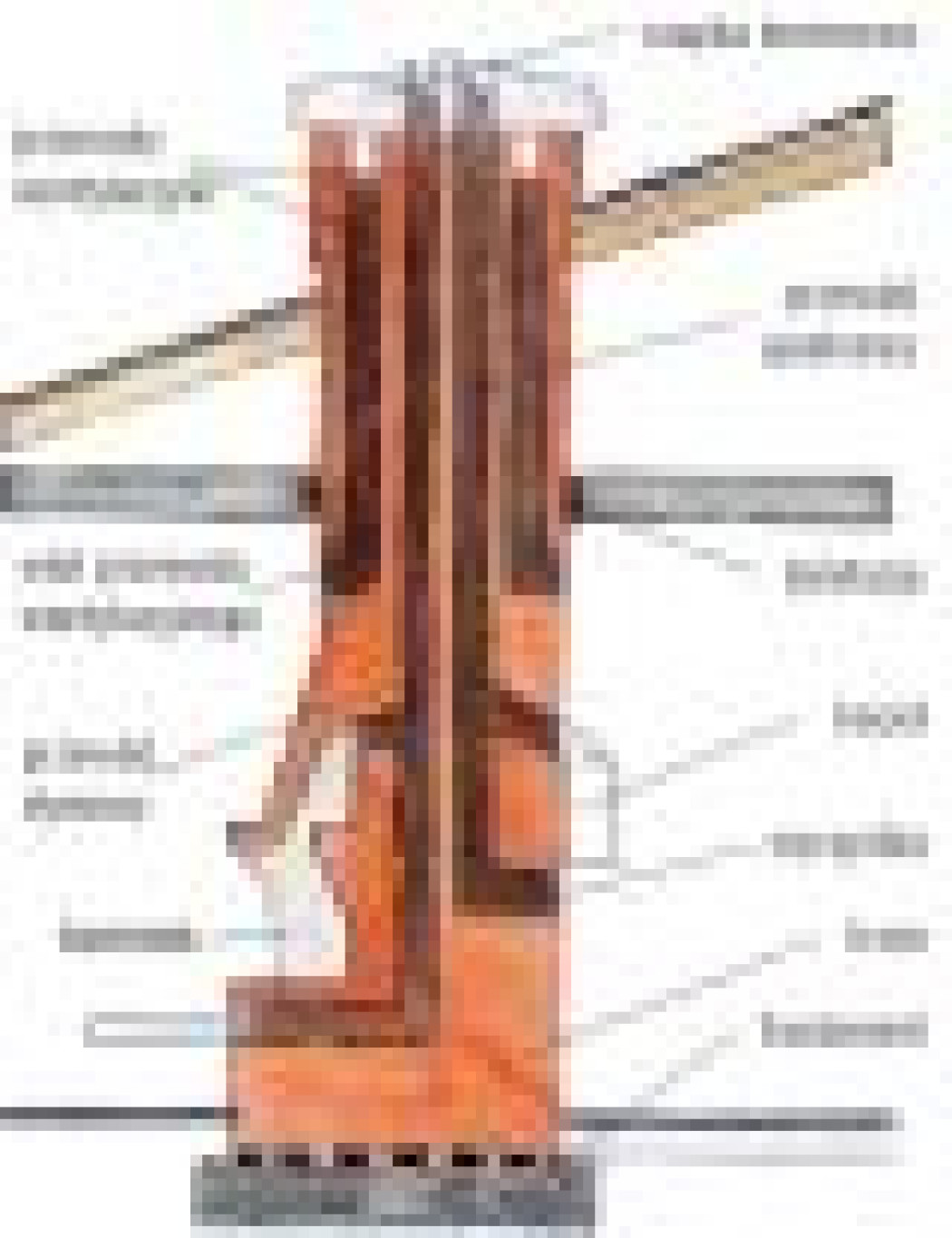 Bez komin(ka) ani rusz