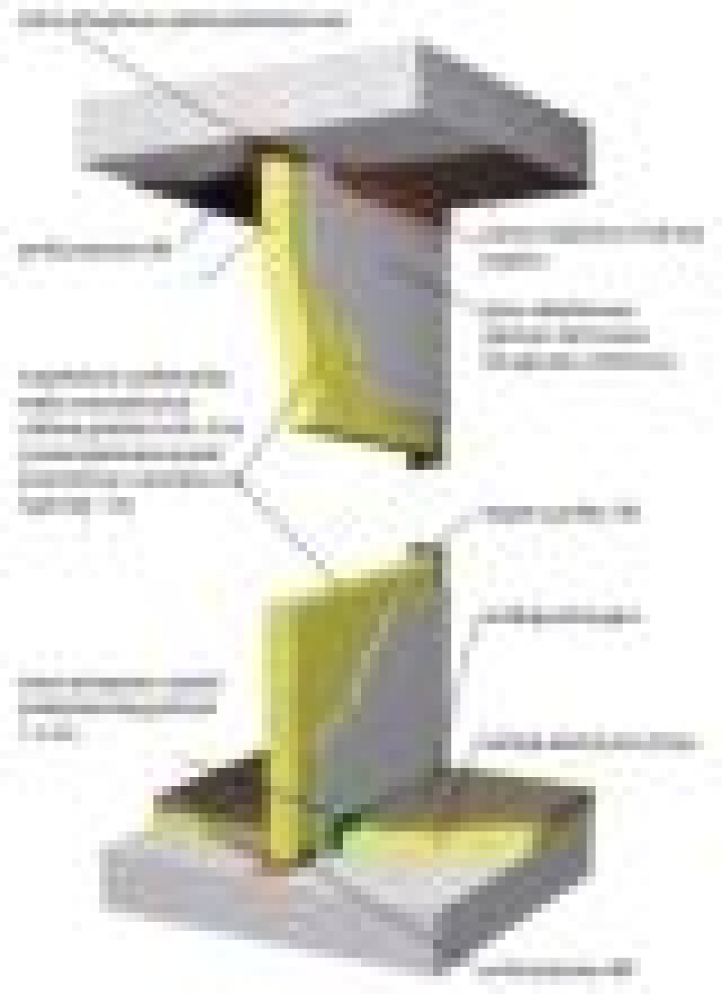 Dzielenie i łączenie