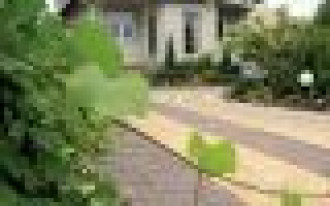 Ścieżki i podjazdy - naturalnie