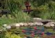 Kosmetyczne szlify architekta