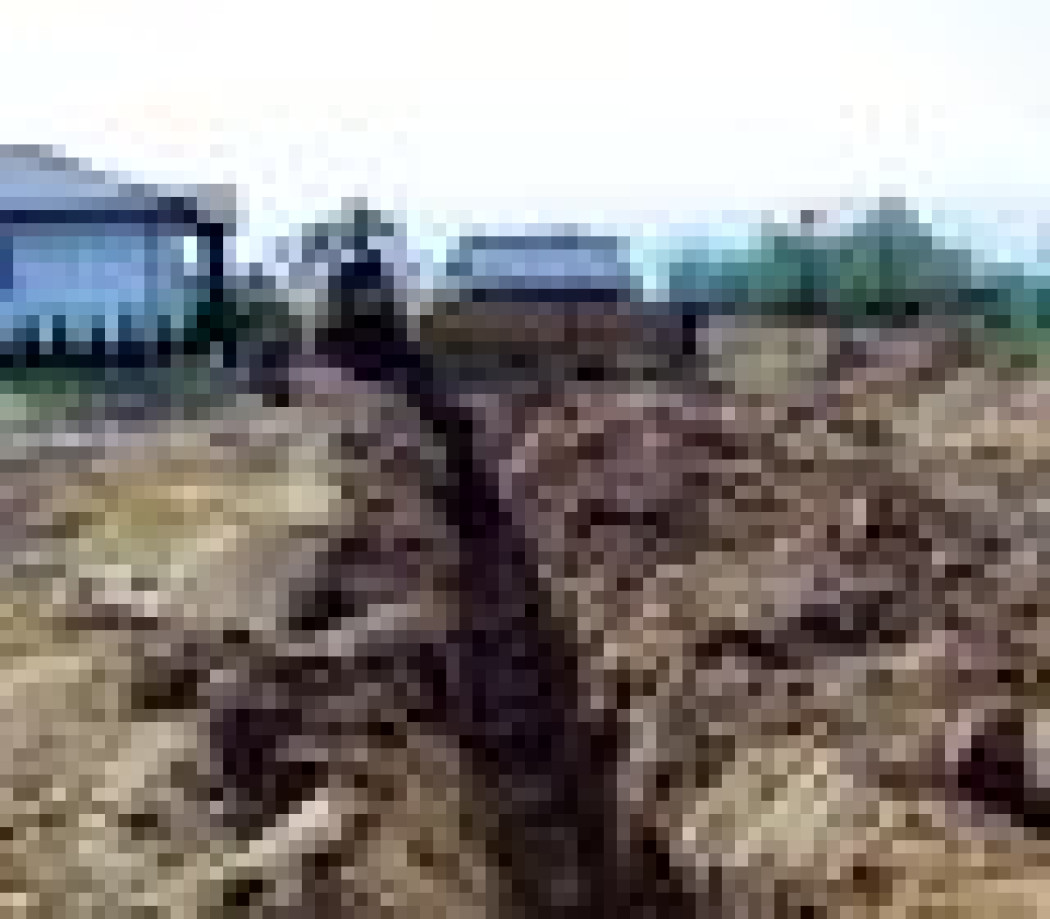 Wybierać racjonalnie