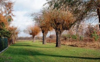 Dom z widokiem na wierzby
