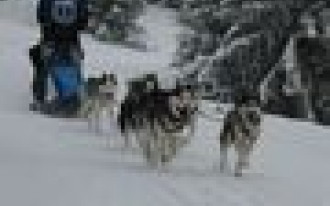 Husqvarna Tour 2010 - już na mecie...