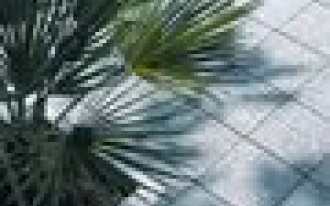 La Linia - szlachetne płyty tarasowe