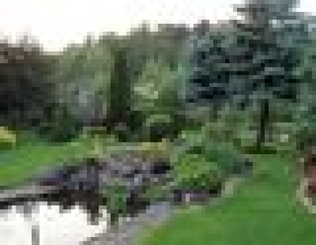 Planowanie i urządzanie ogrodu