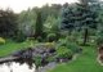 Planowanie i urządzanie ogrodu