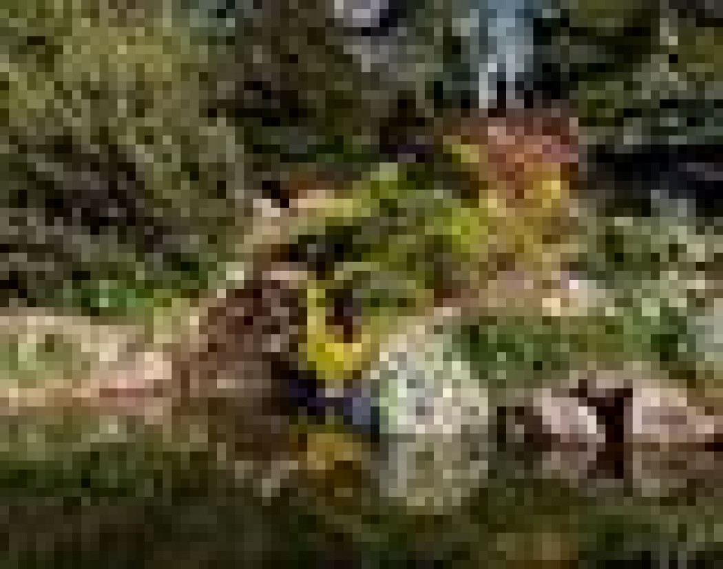 Powrót do świetności