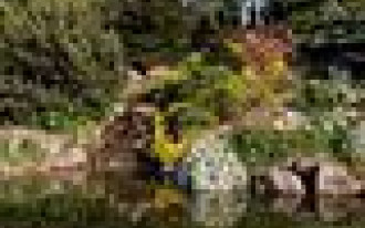 Powrót do świetności