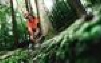 Nowe pilarki Husqvarna z systemem TrioBrake