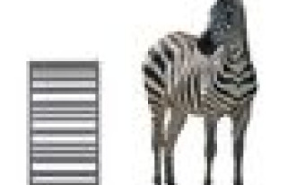 Nowa podopieczna firmy INSTAL-PROJEKT