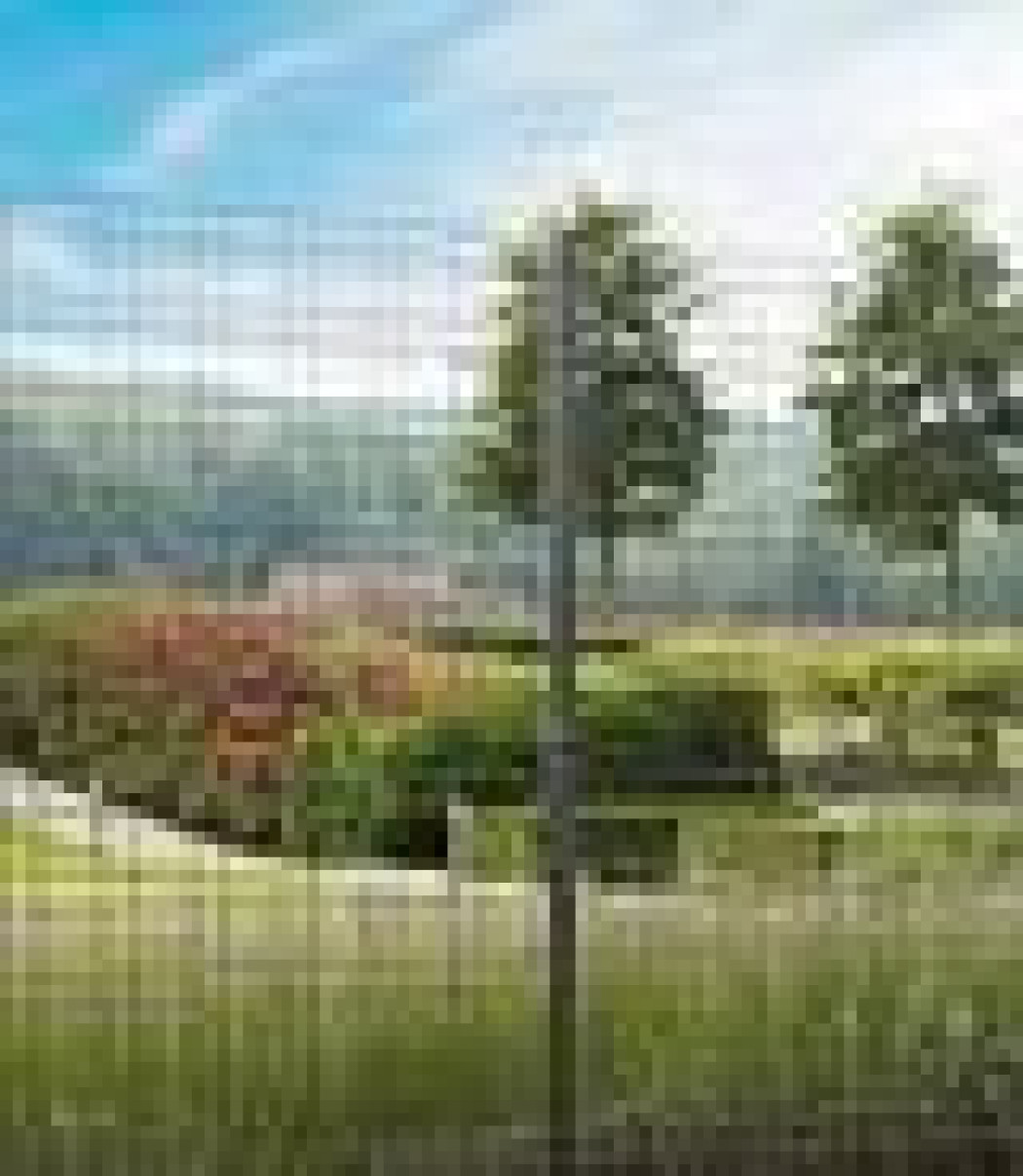 Nawierzchnie i ogrodzenia