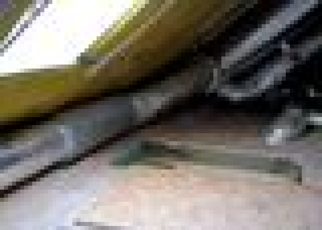 Wentylacja - Zawsze skuteczna wymiana powietrza