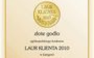 "Złoty Laur Klienta 2010" dla marki TOPEX