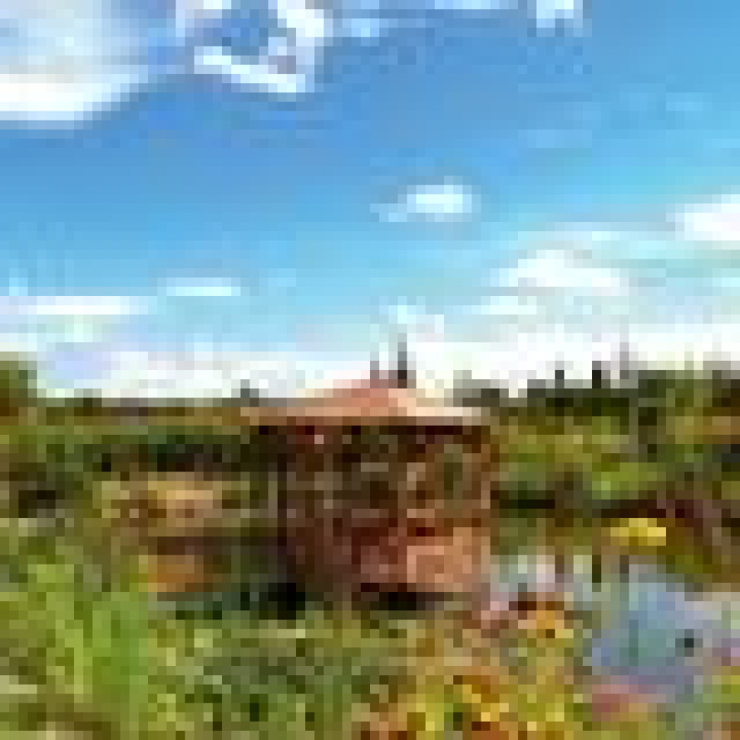 Pływająca altana, letnia kuchnia i ziemna piwniczka