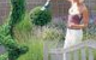 Cięcie drzew i krzewów