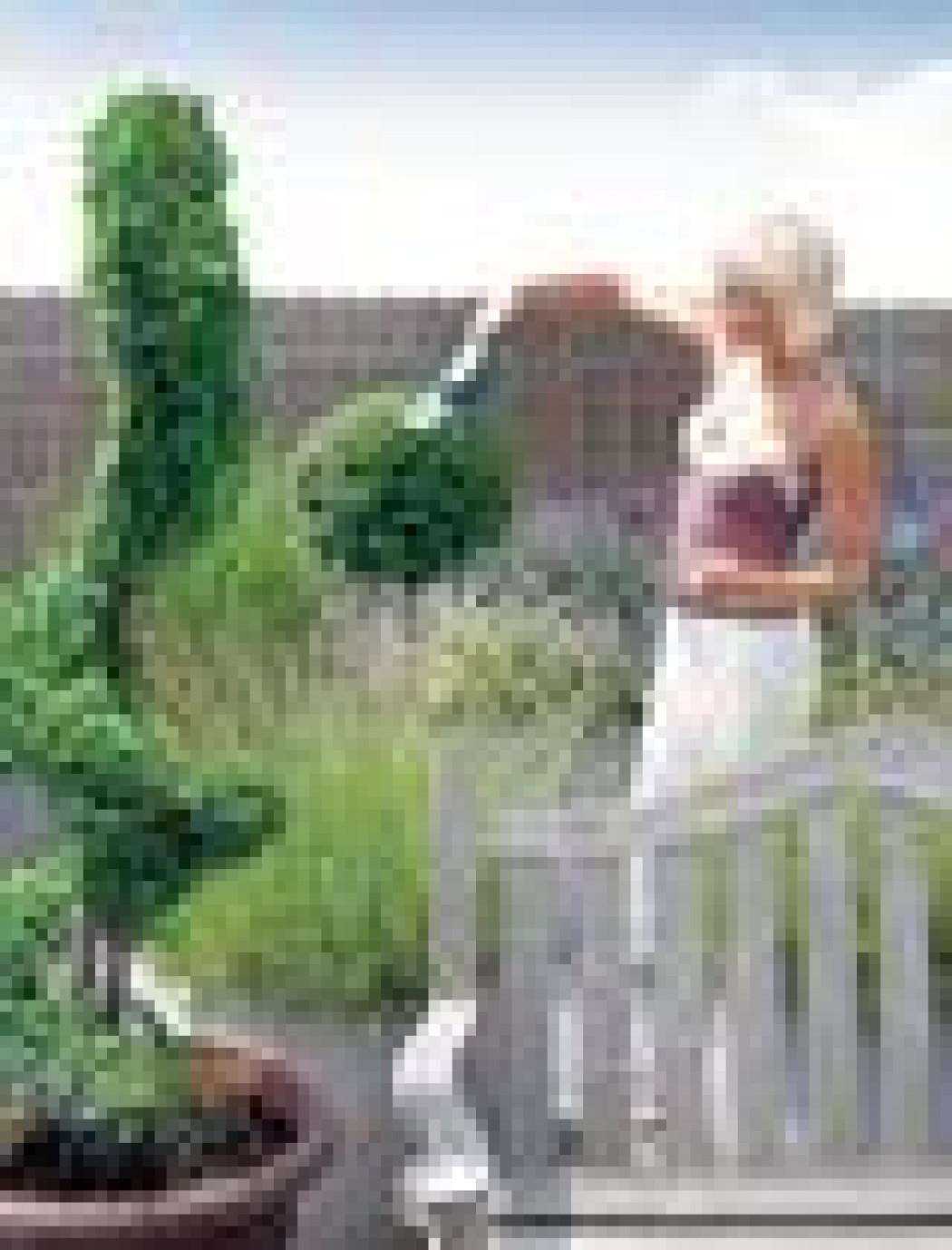 Cięcie drzew i krzewów