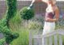 Cięcie drzew i krzewów