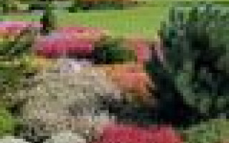 Kolorowe wrzosowiska