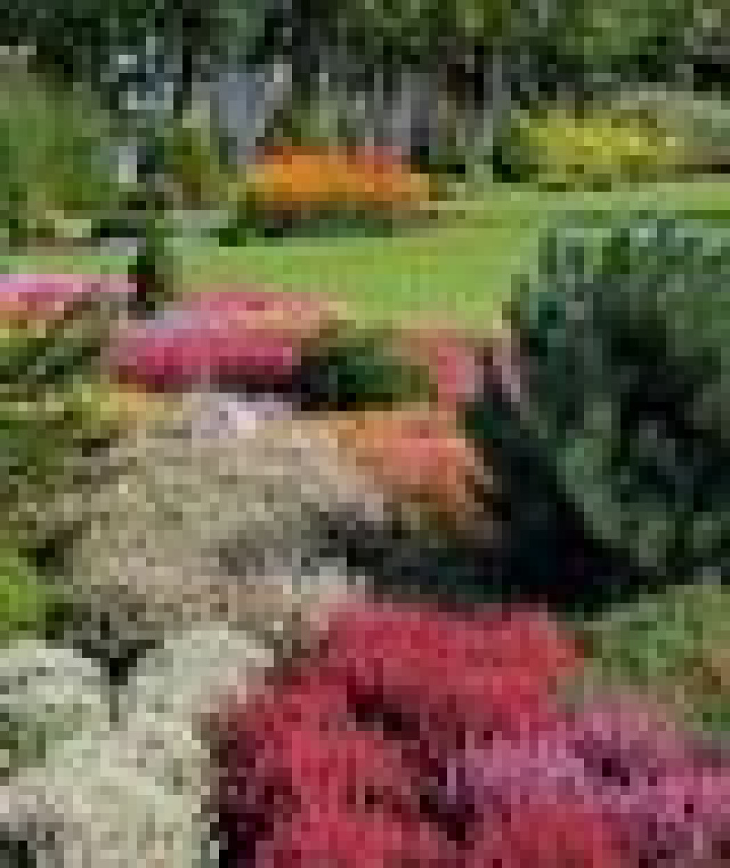 Kolorowe wrzosowiska