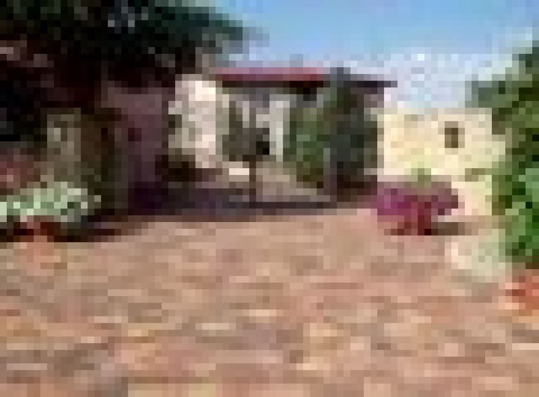 Ogrodzenia i nawierzchnie