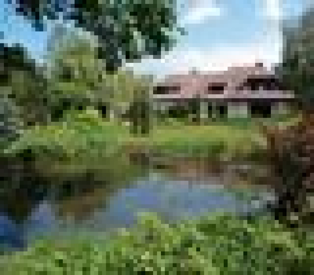 Rozlewisko i kwiecista łąka