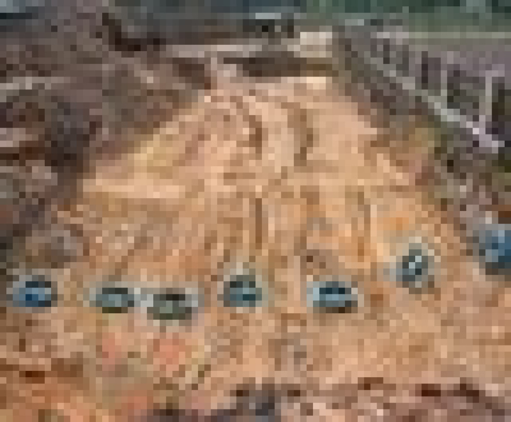 Wybór dolnego źródła