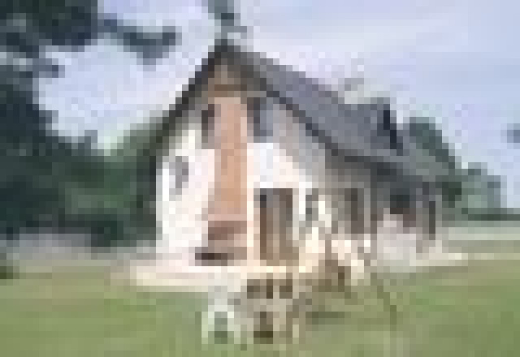 Kronika klanu Agatka