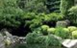 4000 m2 na skraju Puszczy Bolimowskiej