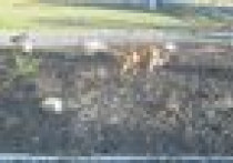 Skalniak, który miał dech zapierać