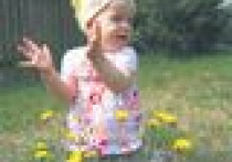 STOP alergenom! Ogród, który nie uczula