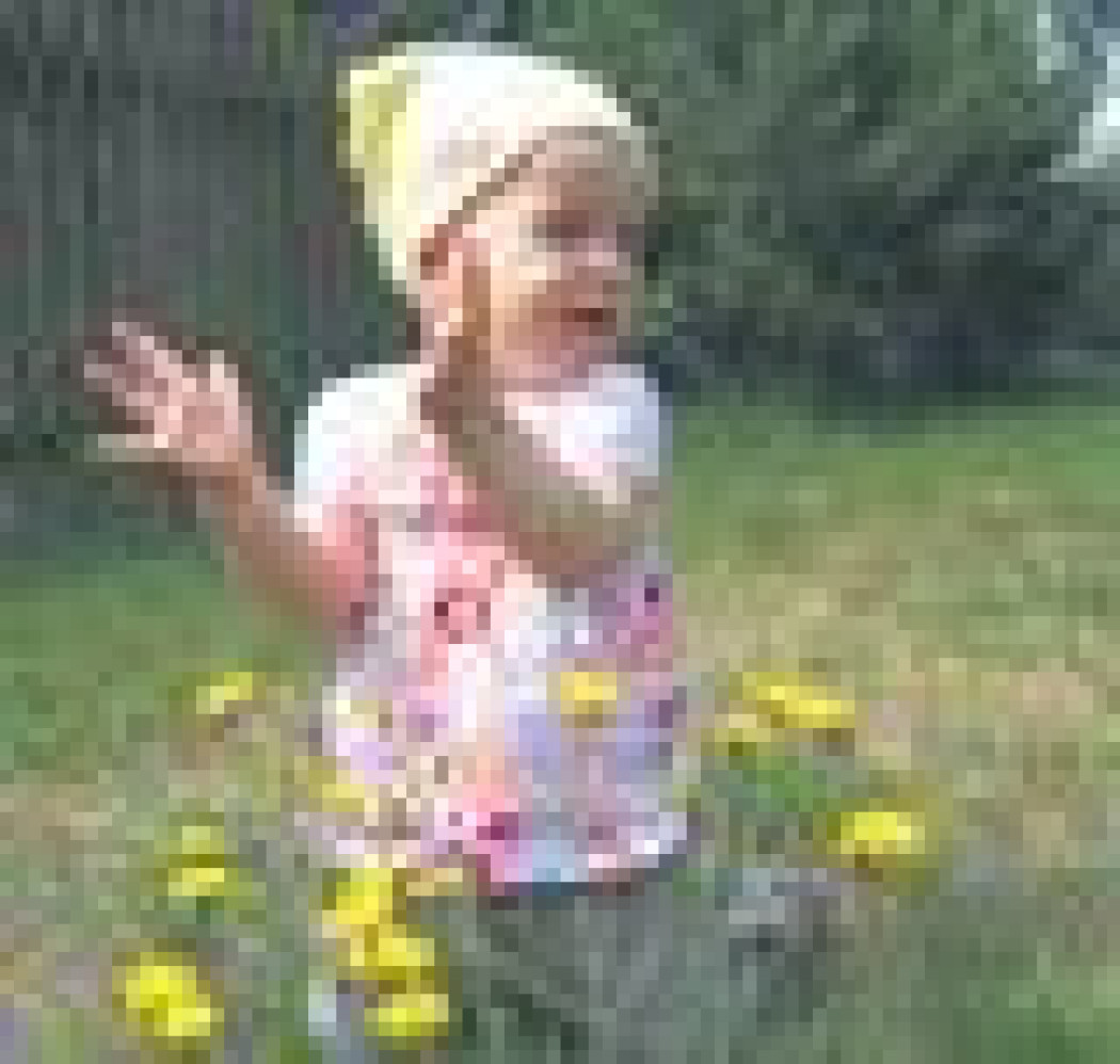 STOP alergenom! Ogród, który nie uczula