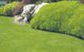 Miejsko czy sielsko? Jak założyć trawnik i kwietną łąkę