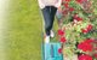 Komfort koszenia. Wybór kosiarki