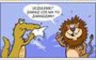 Deska YOUNG marki Barlinek do pokoi dziecięcych