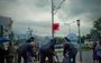 Druga edycja akcji prowadzonej przez firmę Wilo Polska i fundację Nasza Ziemia