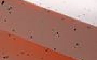 Nowy jasnopomarańczowy styropian Termo Organiki