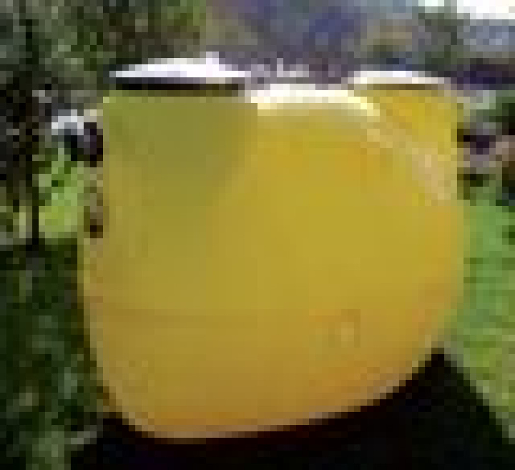 Oczyszczalnie ścieków