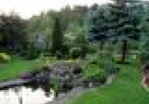 Planowanie ogrodu. Kolejność robót