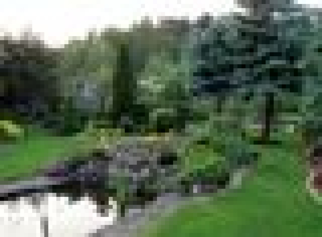 Planowanie ogrodu. Kolejność robót