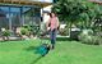 Zakładanie trawnika