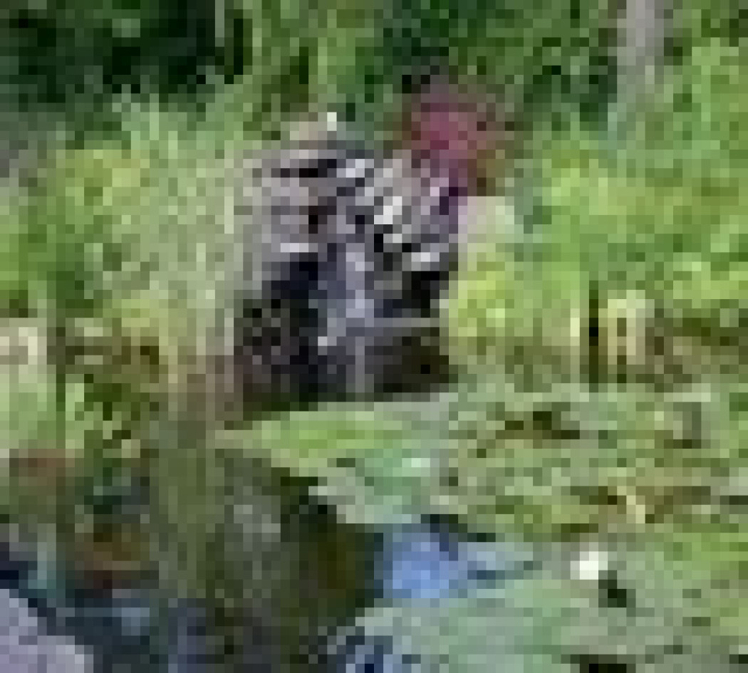 Prawie 4000 m2 soczystej zieleni na piasku