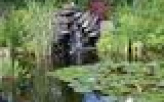 Prawie 4000 m2 soczystej zieleni na piasku