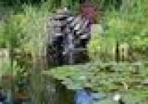 Prawie 4000 m2 soczystej zieleni na piasku